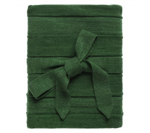 ���� Pleat, �������