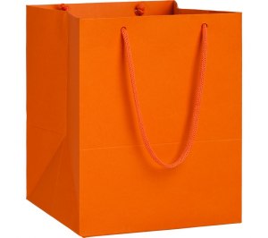 ����� Ample S, ���������