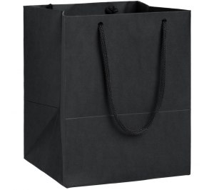 ����� Ample S, ������