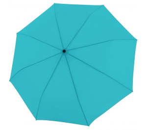 ���� �������� Trend Mini Automatic, �����