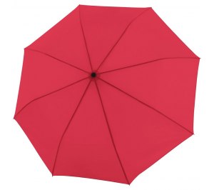 ���� �������� Trend Mini Automatic, �������