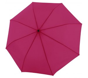 ���� �������� Trend Mini Automatic, ��������