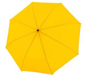 ���� �������� Trend Mini Automatic, ������