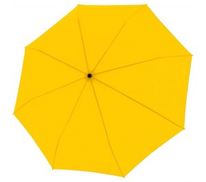 ���� �������� Trend Mini, ������