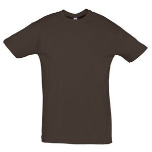 �������� ������� Regent, ����������