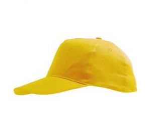 ��������� "Sunny"