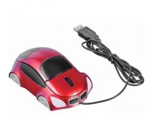 ���� ������������ ���������� "����������"; �������