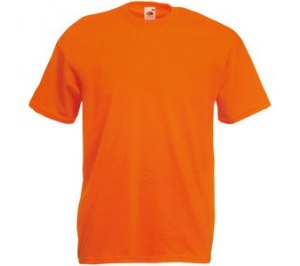 �������� "Valueweight T", ���������