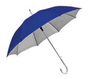 ����-������ � ����������� ������ "��� ��������" "Silver", �����������