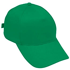 ��������� "Standard,", 5 �������, ������������� ��������; �������; 100% ������; ��������� 175 �/�2