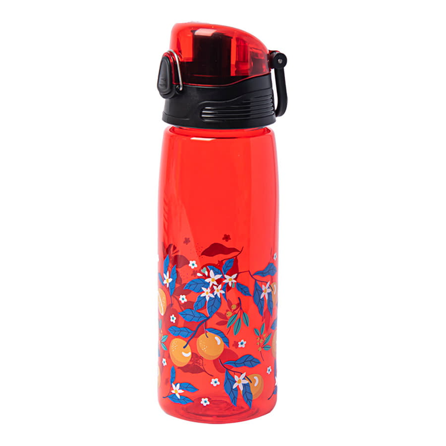 ������� ��� ���� FLASK, 800 ��; 25,2�7,7��, �������, ������� rPET