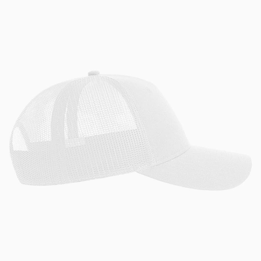 ��������� ZION, 5 �������, �����,  100 % �������������� ���������, ��������, �����