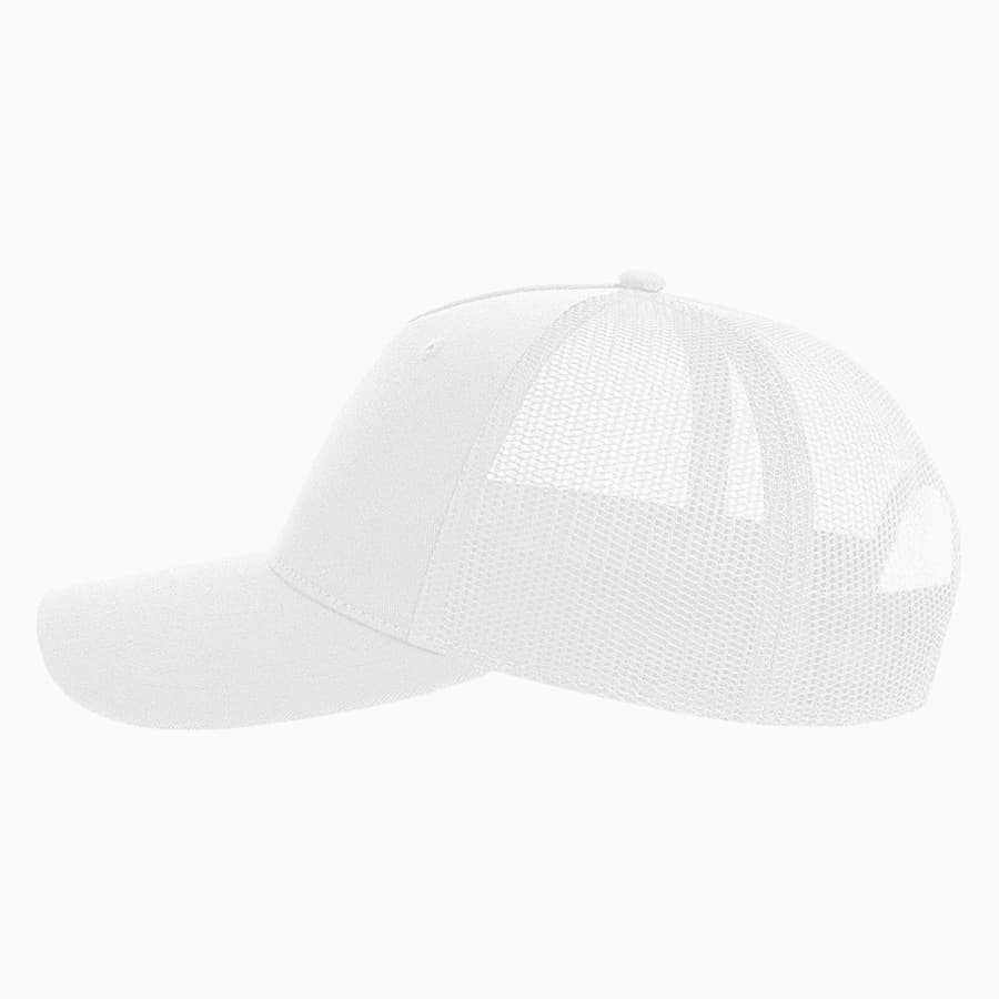 ��������� ZION, 5 �������, �����,  100 % �������������� ���������, ��������, �����