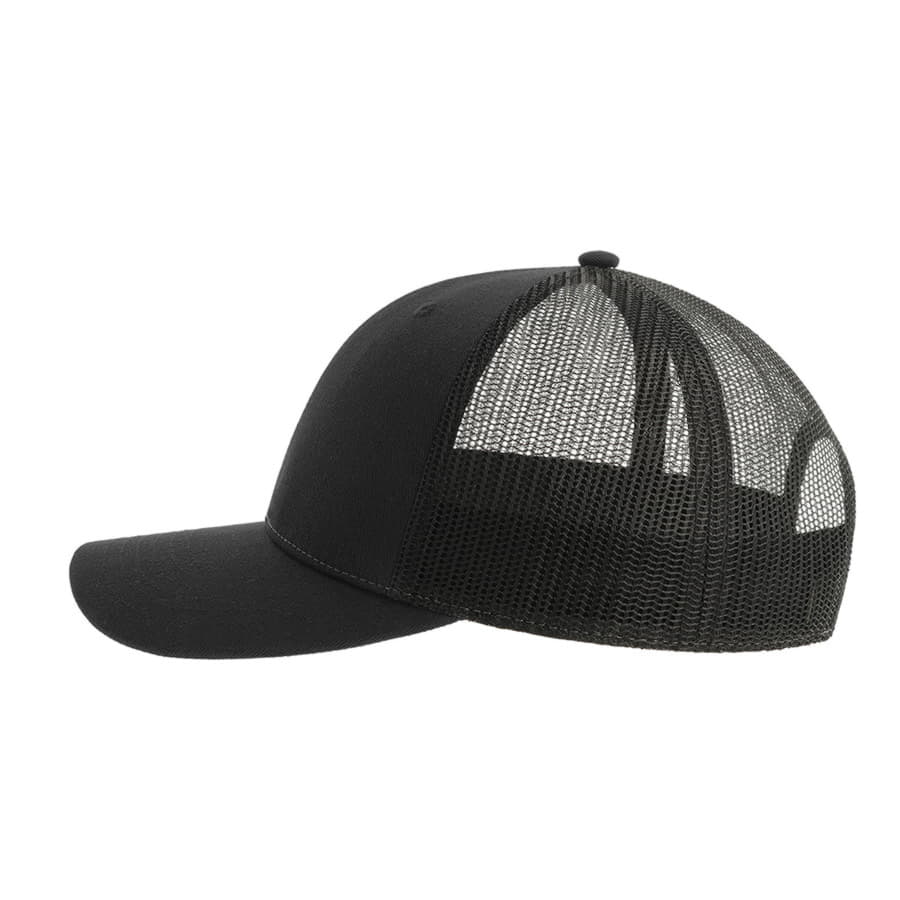 ��������� BRYCE, 6 �������, �����,  100 % �������������� ���������, ��������, ������