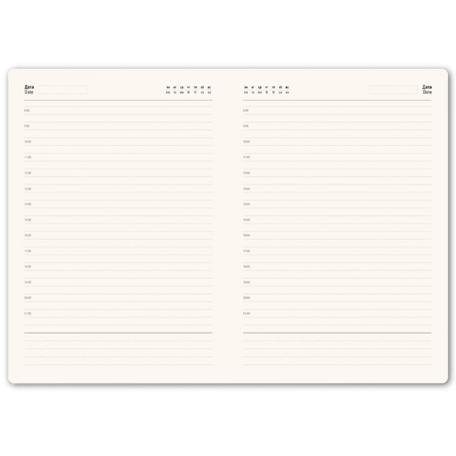 ���������� �������������� Shady, �5,  ��������, �������� ����, ������ �����