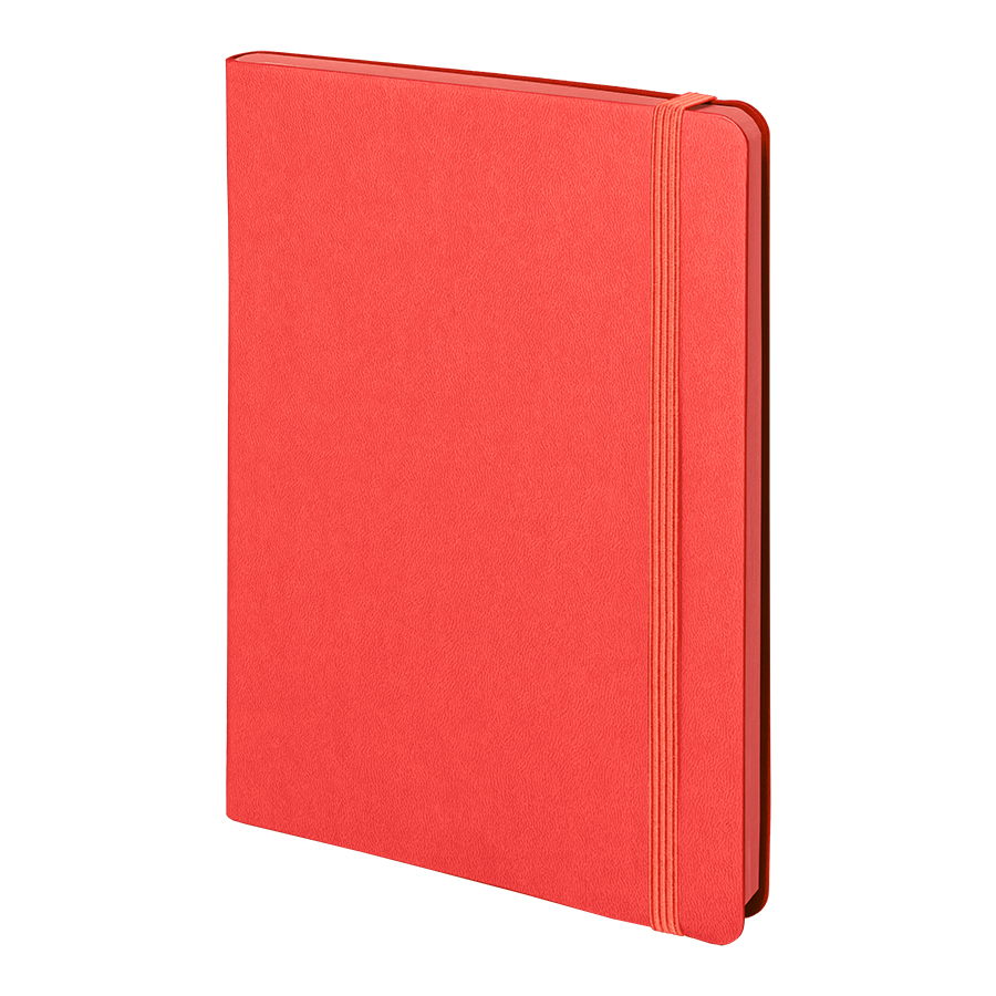 ���������� �������������� Shady, �5,  �������, �������� ����, ������� �����