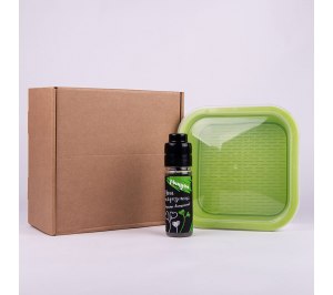 ���������� ����� ��� ������������ �����������: �������������, ������ ������