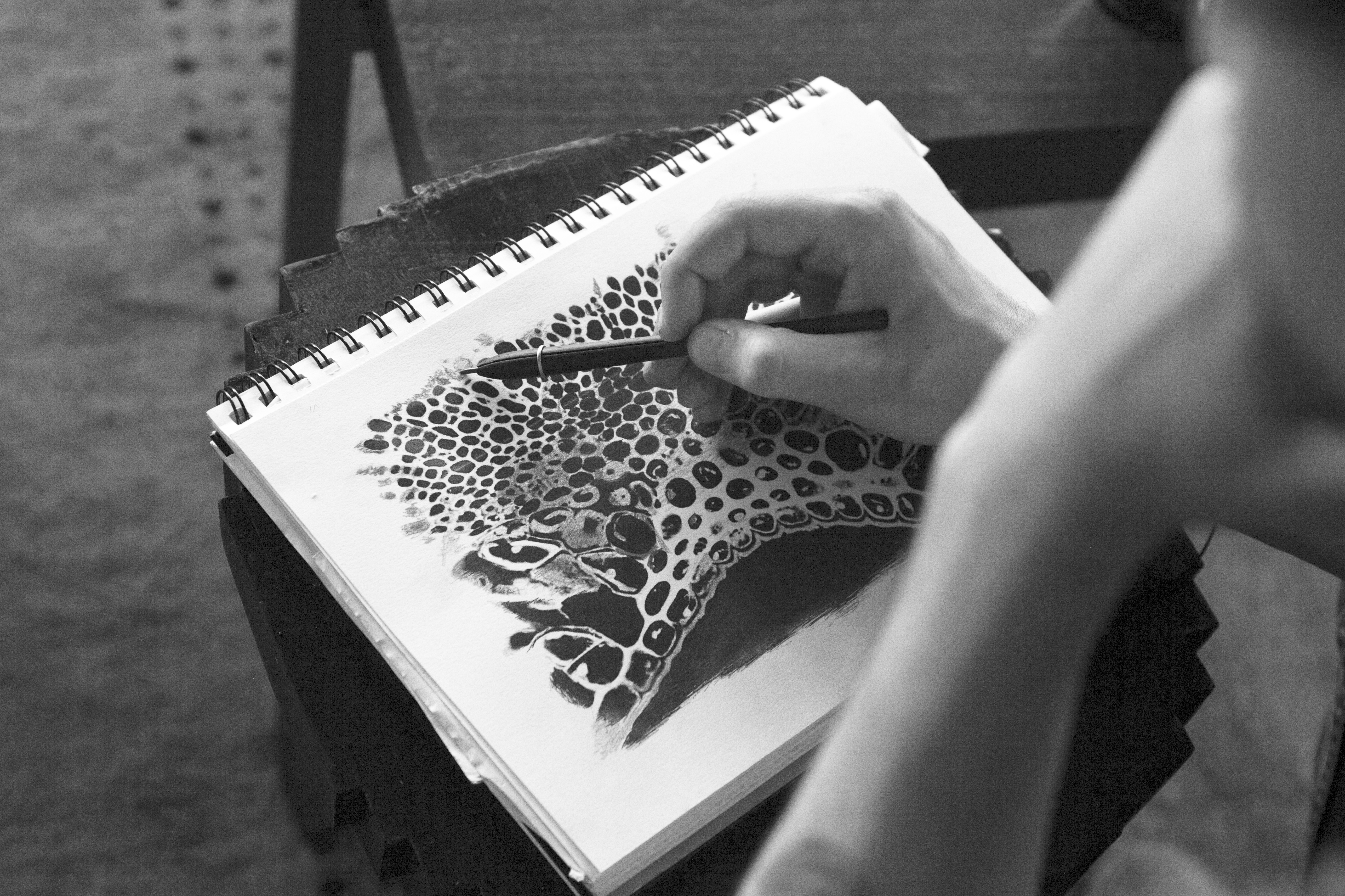 �������� �������������� SOSTANZA PENCIL CHERRY