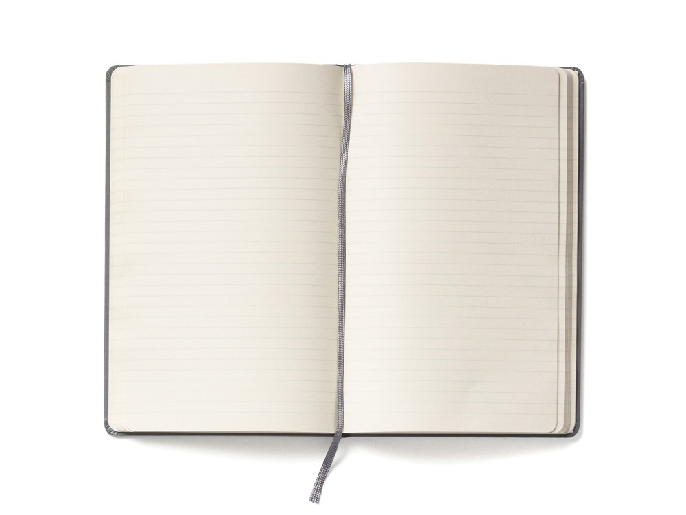 �������� ������ Moleskine Classic (� �������), Large (13�21��), �����