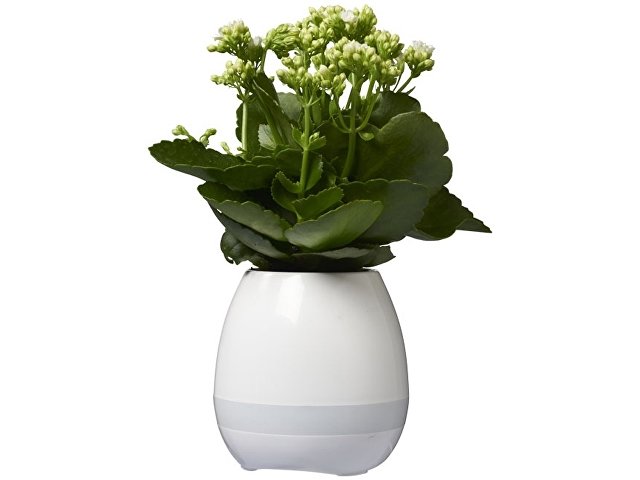 Динамик Green Thumb Flower Pot с Bluetooth®