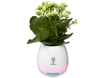 Динамик Green Thumb Flower Pot с Bluetooth®
