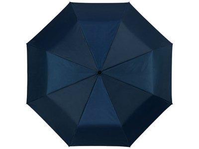 ���� �������� �������������� 21,5", 3 ��������, �����-�����/�����������