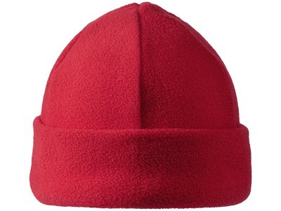 �������� ����� "Denver", �������