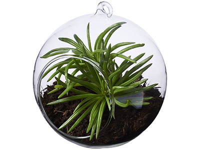 ��������� Sphere