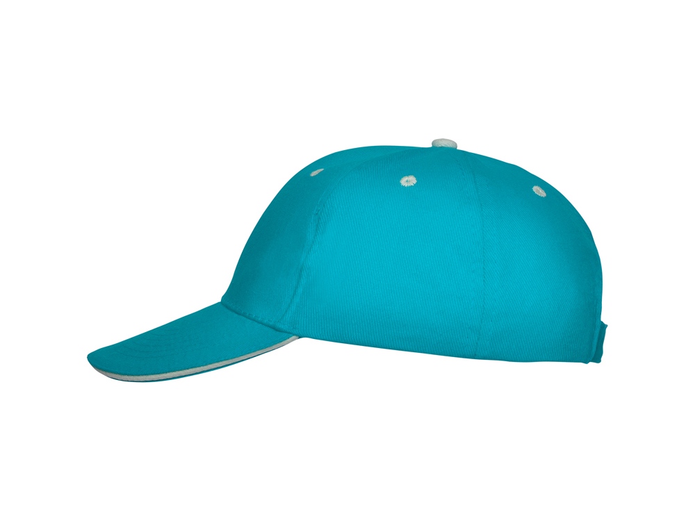 ��������� Panel �������, ���������