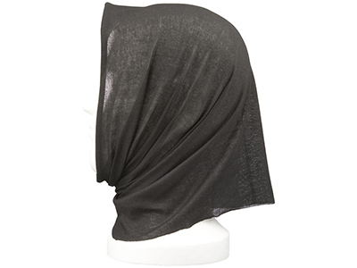 ������� Lunge, ������