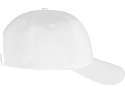 ��������� "Poly" 5-�� ���������, �����