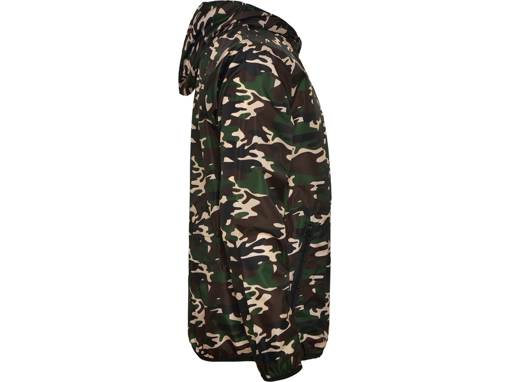 �������� Angelo �������, ������ ��������