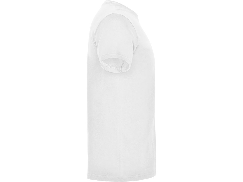 �������� Beagle �������, �����