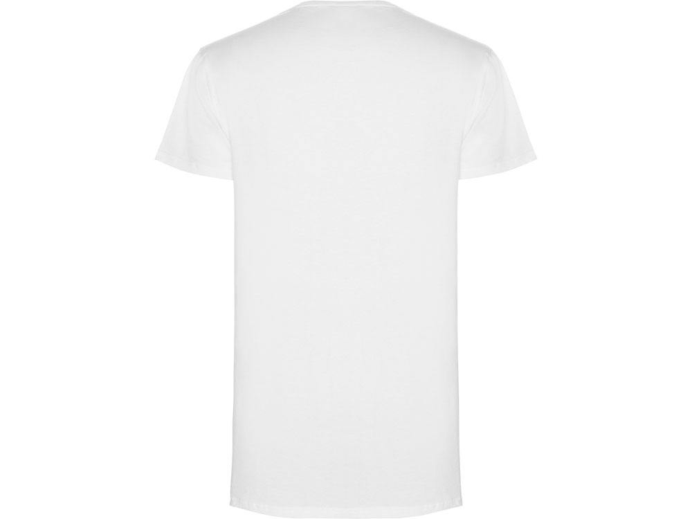 �������� Collie �������, �����