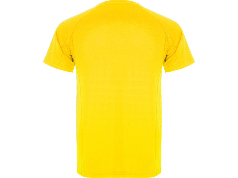 ���������� �������� Montecarlo �������, ������