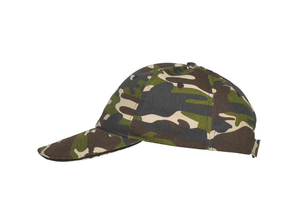 ��������� Panel �������, ������ ��������