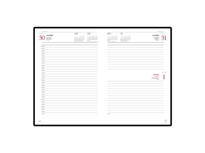 ���������� �5 ������������ �Velvet� 2019, �����-�����