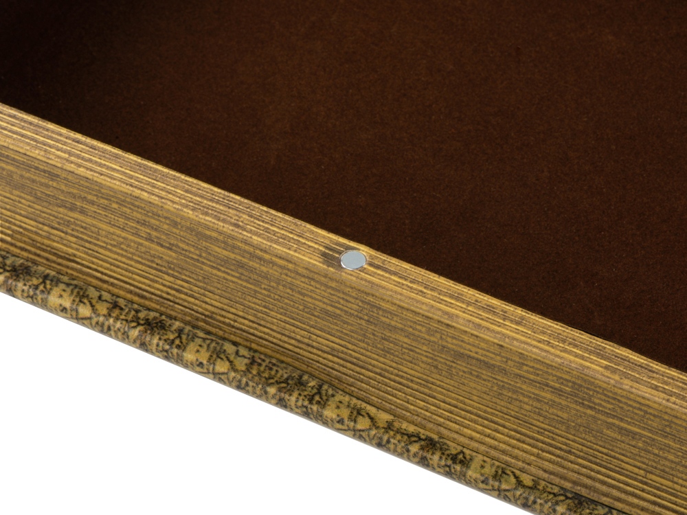 ���������� ������� ����� ����