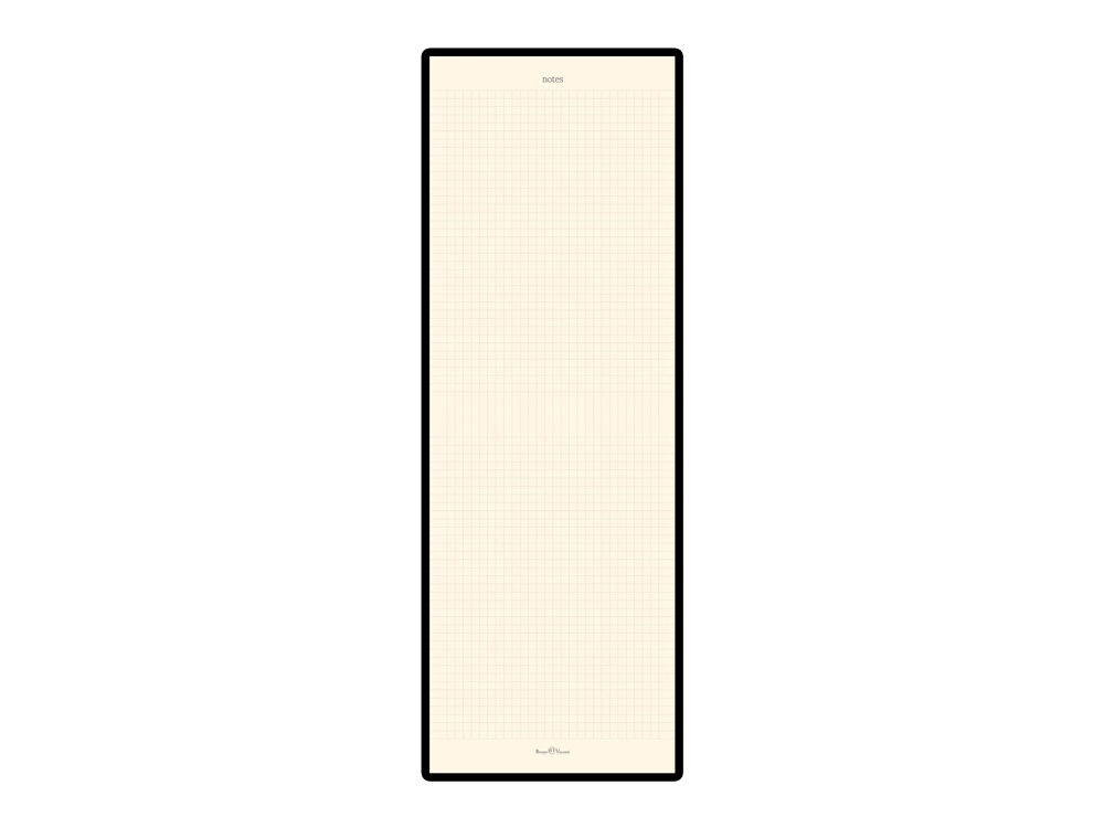 ������� �5 �Megapolis Reporter�, ������