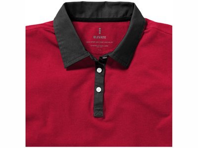 ������� ���� "York" �������, �������/��������