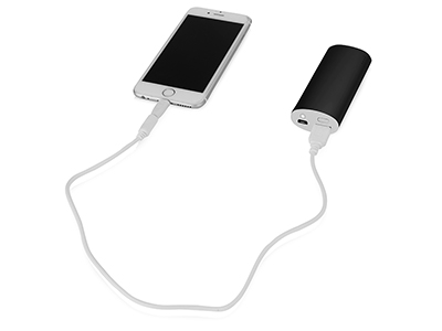 ����������� �������� ���������� "������", 4400 mAh, ������