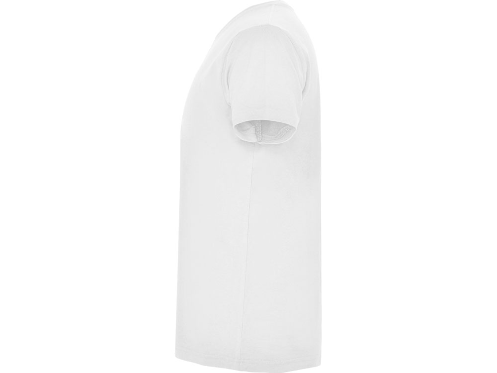 �������� Samoyedo �������, �����