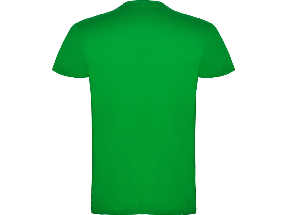 �������� Beagle �������, ����������-�������