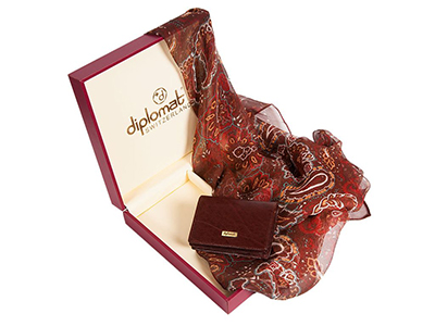 Набор Diplomat: платок, визитница, коричневый