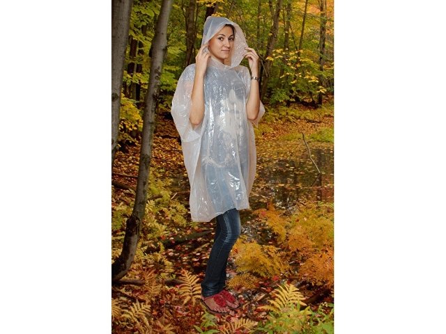 �������� � ������� � ���������, ������ ������