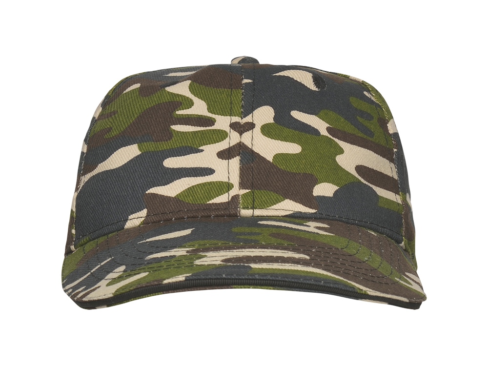 ��������� Panel �������, ������ ��������