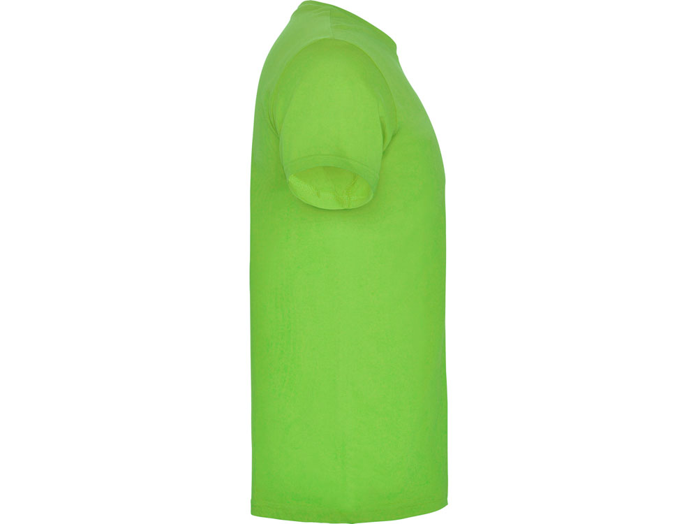 �������� Beagle �������, ������� ������