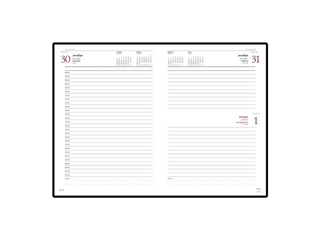 ���������� ������������ �5 �Ideal New� 2019, �������