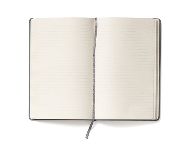�������� ������ Moleskine Classic (� �������), Large (13�21��), �����