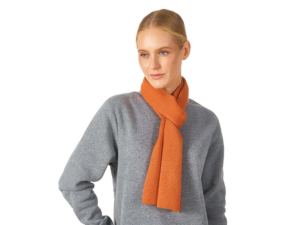 ���� Dunant, ���������